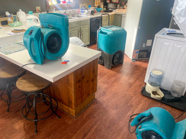 Best Commercial water damage restoration  in Seymour, TN