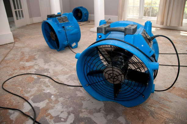 Best Water damage contractors near me  in Seymour, TN